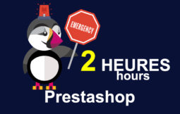 Ticket Intervention Prestashop intervention prestashop