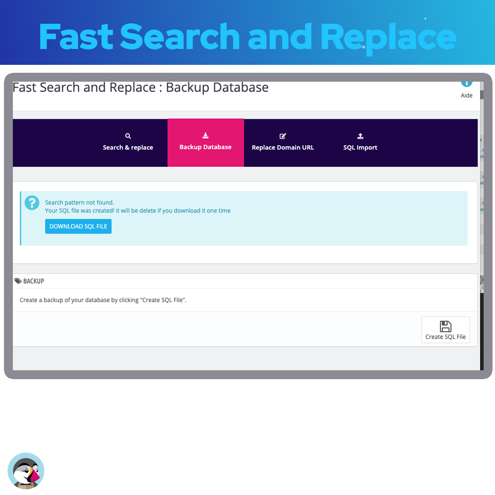 Database Search and Replace Prestashop Module rapide replace prestashop